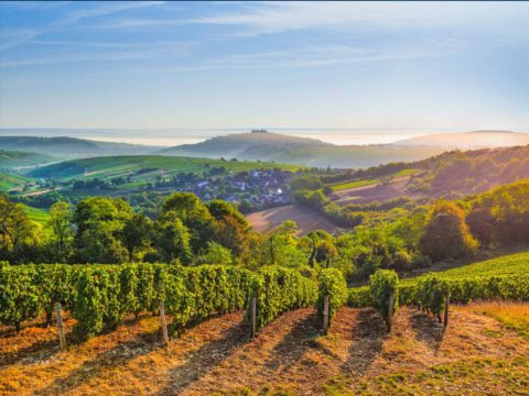 Maison des sancerre